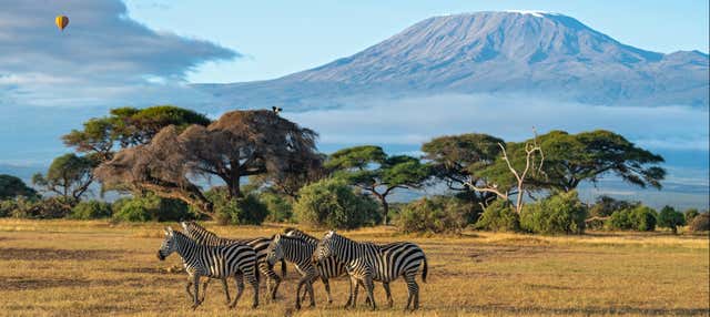 Safari di 2 giorni nel Parco Nazionale di Amboseli