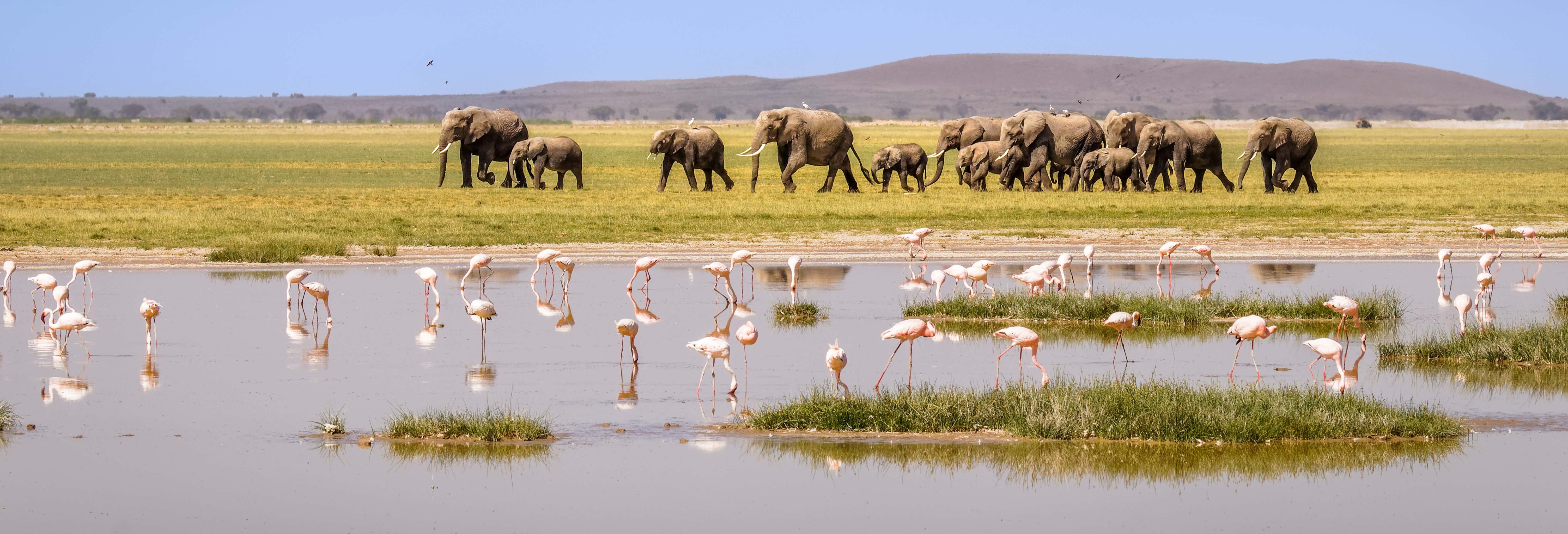 Safari privato di 3 giorni al Parco Nazionale di Amboseli