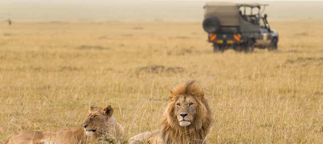 Safari di 7 giorni a Masái Mara, Amboseli, Hell's Gate e Lago Nakuru