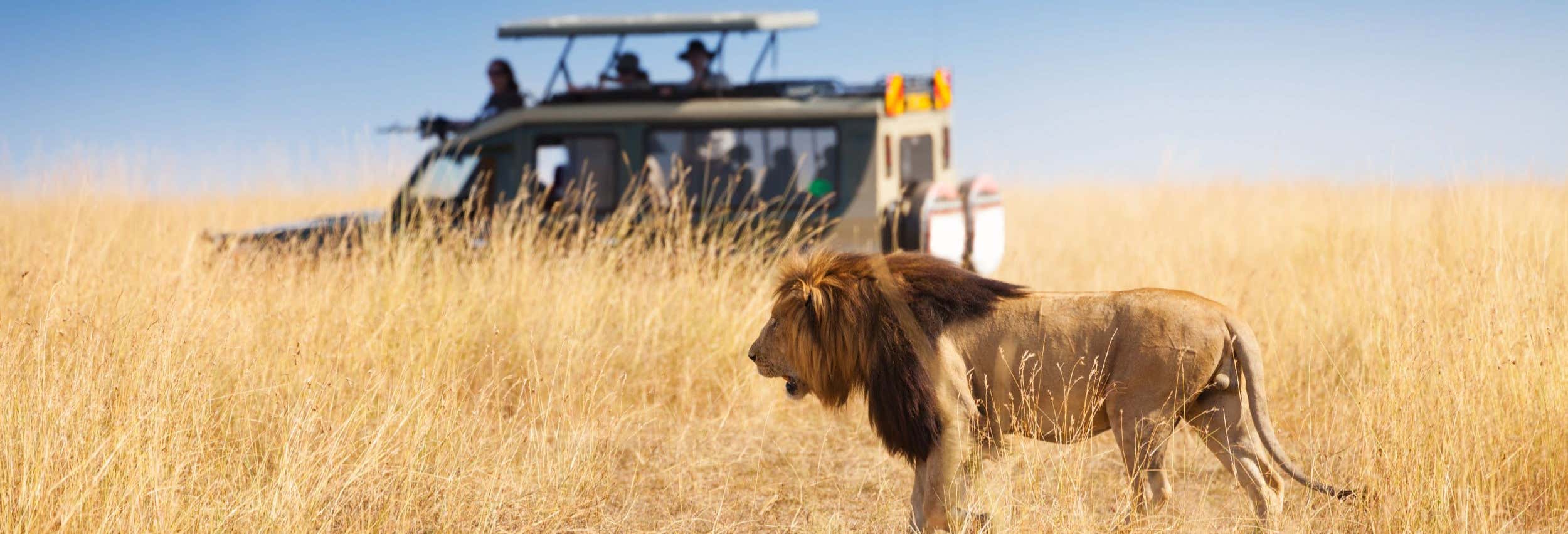 Safari privato di 6 giorni a Masai Mara, Amboseli e lago Naivasha