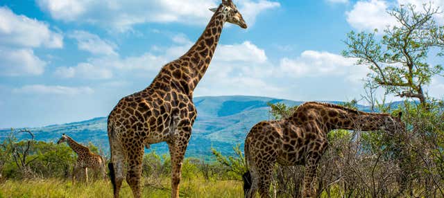 Tour di 9 giorni in Lesotho e Sudafrica con arrivo a Durban