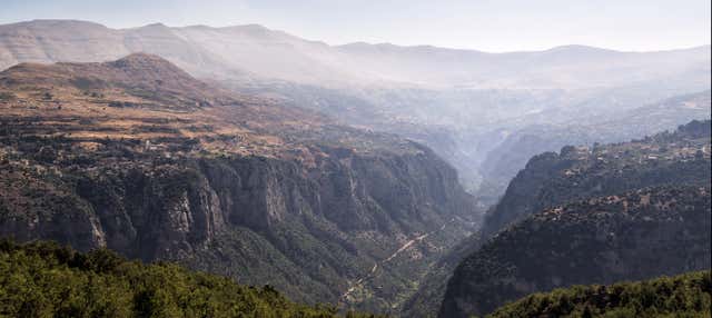 Escursione alla Valle di Qadisha e alla Foresta dei Cedri di Dio