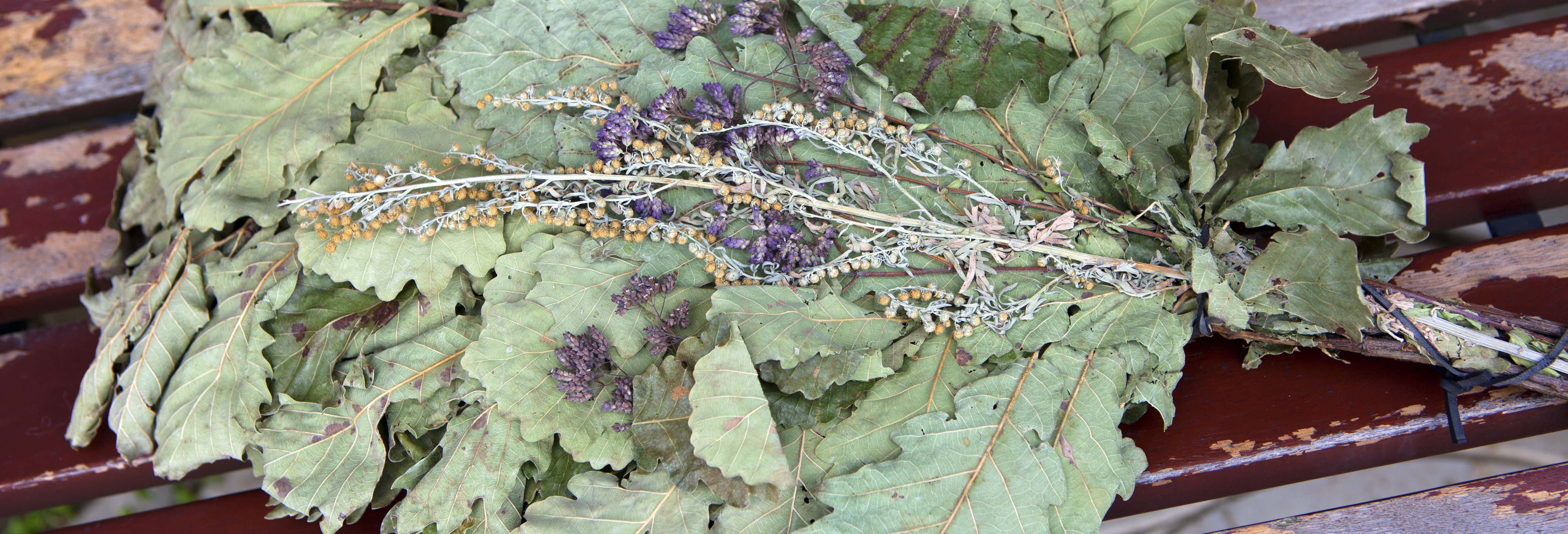 Esperienza privata in sauna nei boschi di Vilna