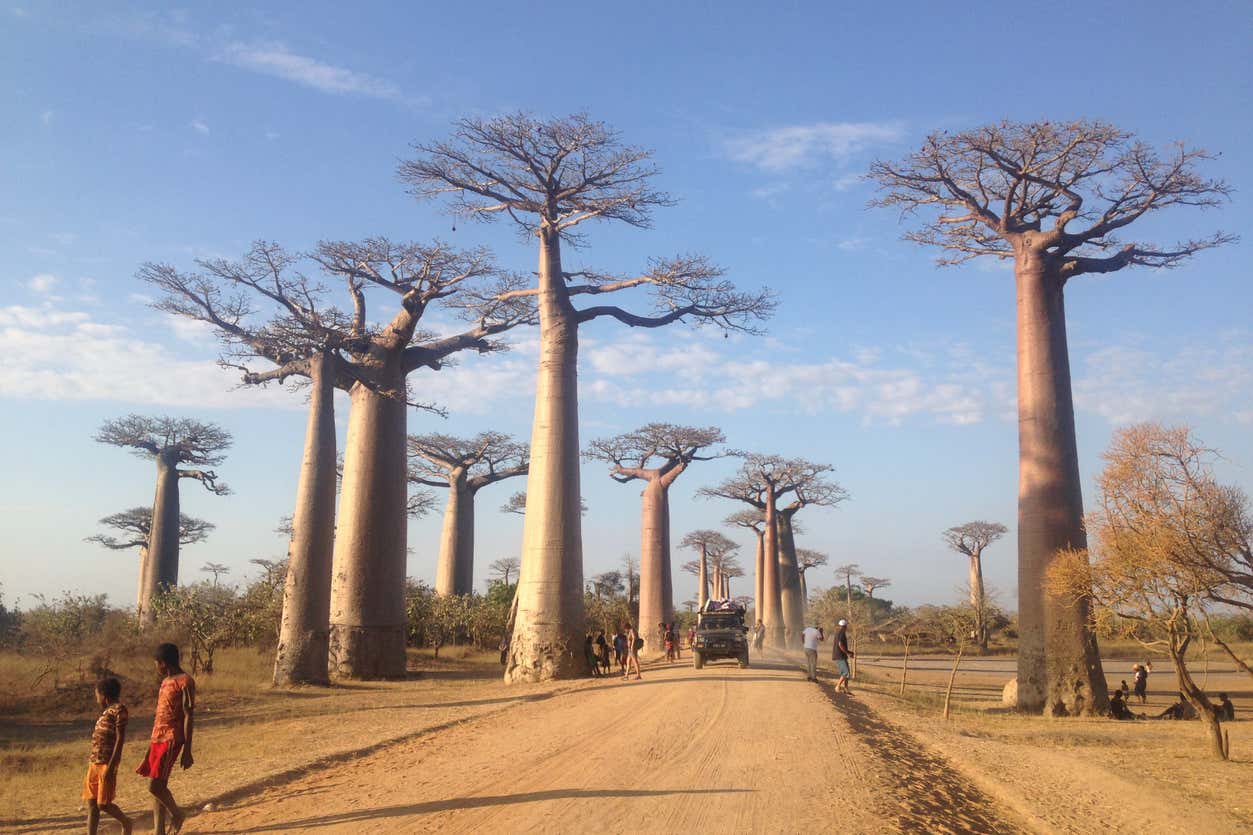 Tour de 9 dias por Madagascar