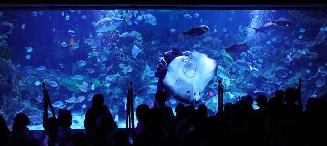 Biglietti per Aquaria KLCC