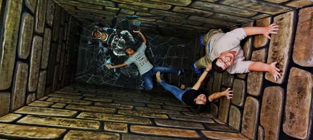 Biglietti per il museo d'arte Trick 3D