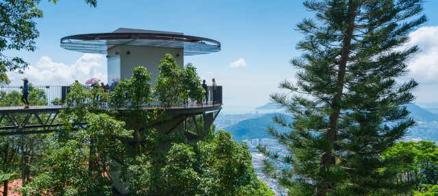 Escursione privata a The Habitat Penang Hill