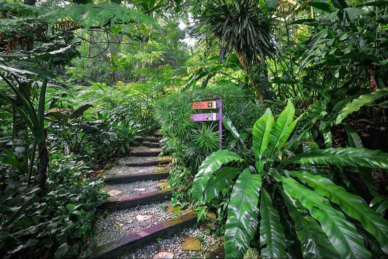 Tropical Spice Garden Ticket