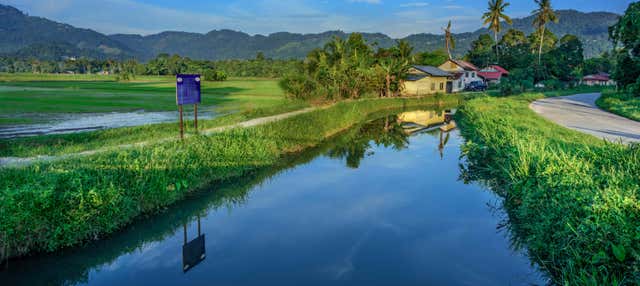 Tour di Balik Pulau in bici