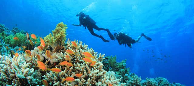 Immersione per principianti ad Addu