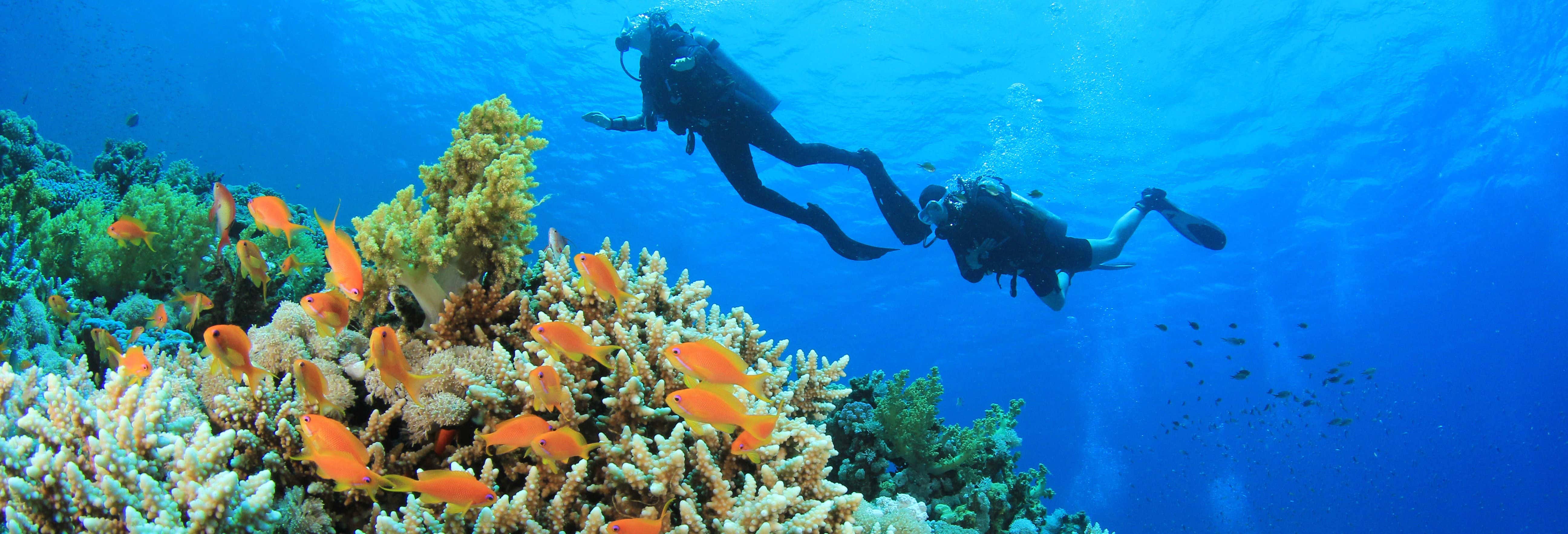 Immersione per principianti ad Addu