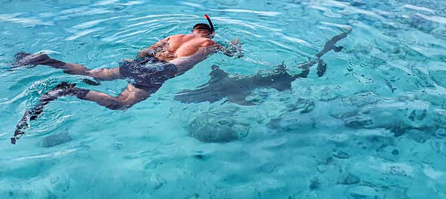 Snorkeling a Dhiffushi