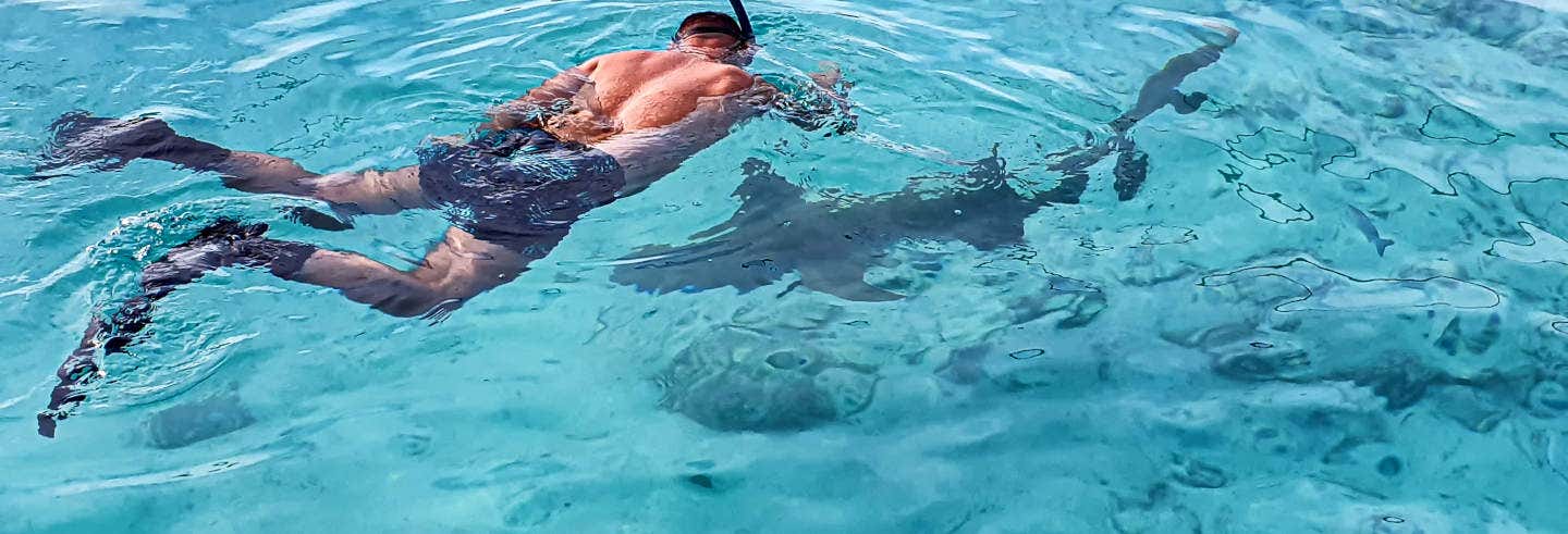 Snorkeling a Dhiffushi