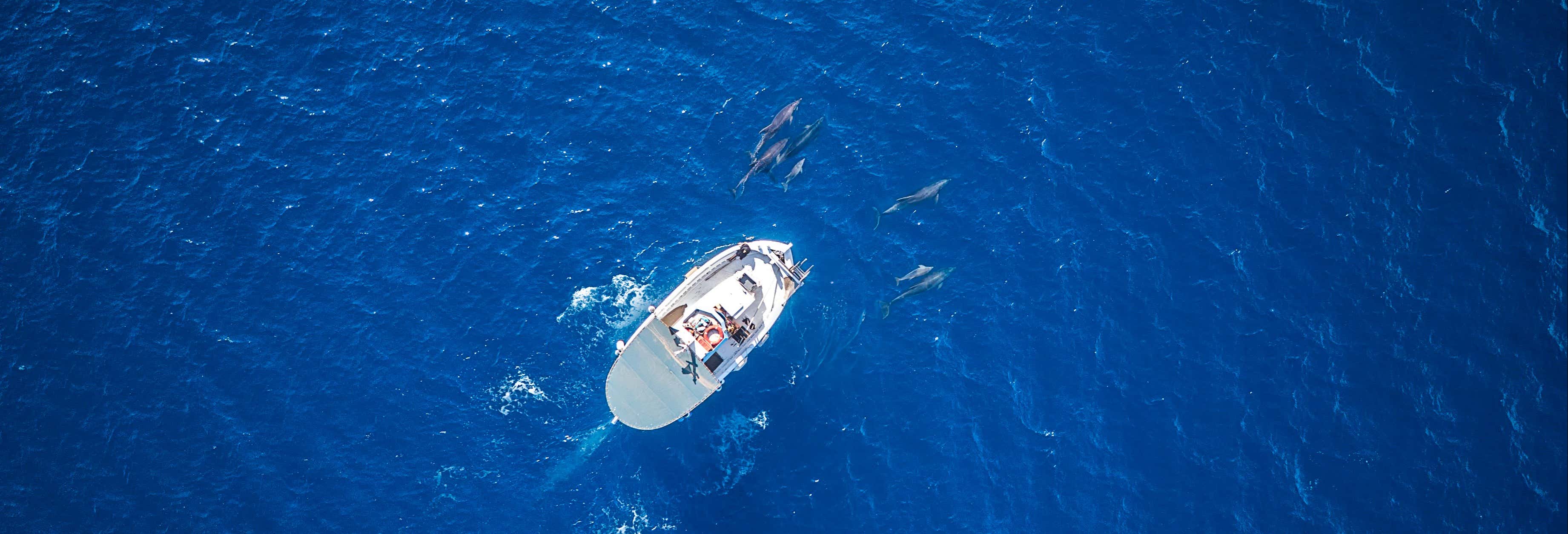 Noleggio di barca con skipper a Maafushi
