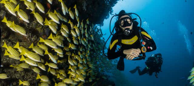 Immersione per principianti a Maafushi