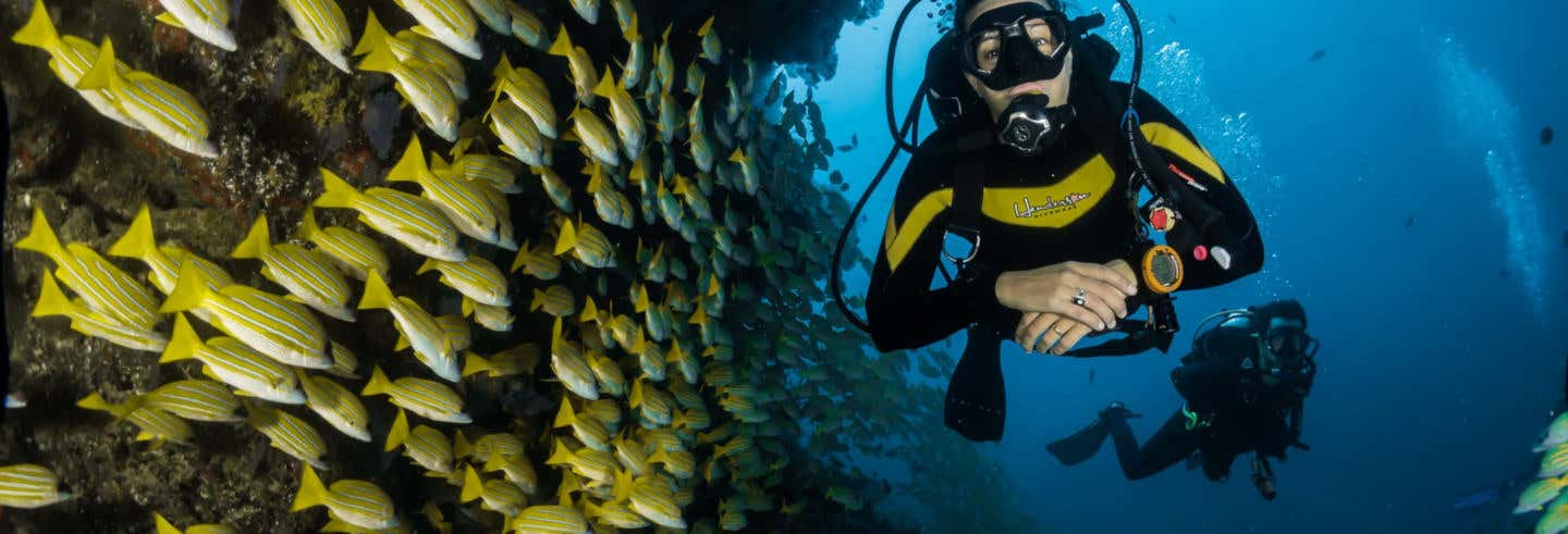 Immersione per principianti a Maafushi