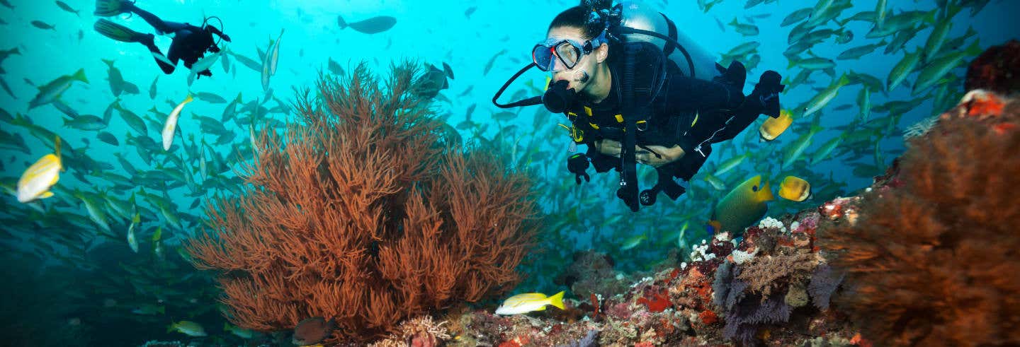 Immersione a Maafushi