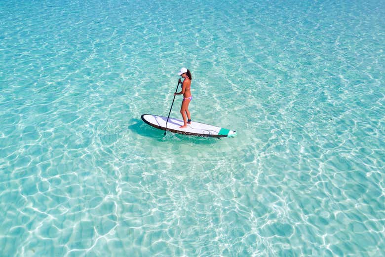 Imagen 3