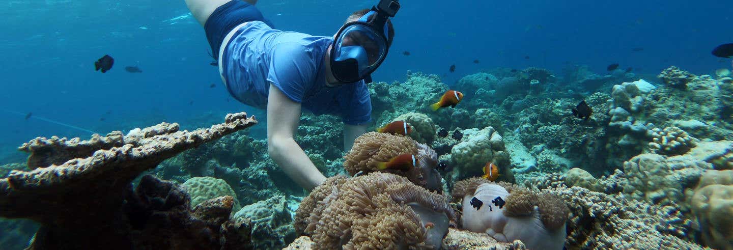 Snorkeling a Maafushi + Avvistamento di delfini
