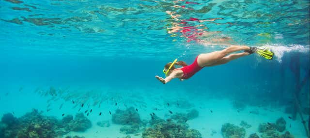 Snorkeling alle Maldive