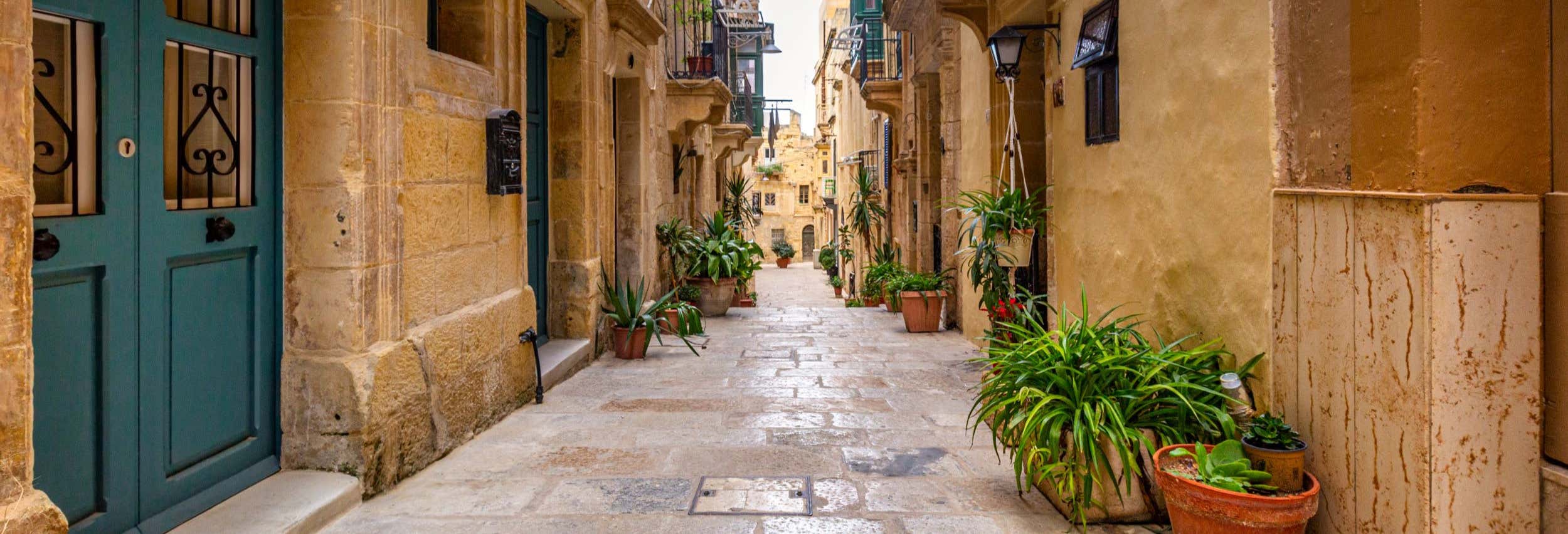 Free tour di Birgu