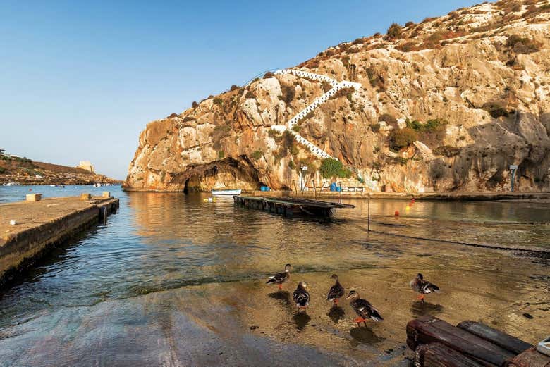 Imagen 7