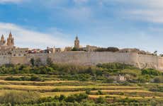 Excursão a Mdina e Penhascos de Dingli