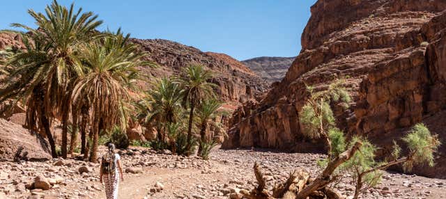Escursione alla Valle di Tizgui