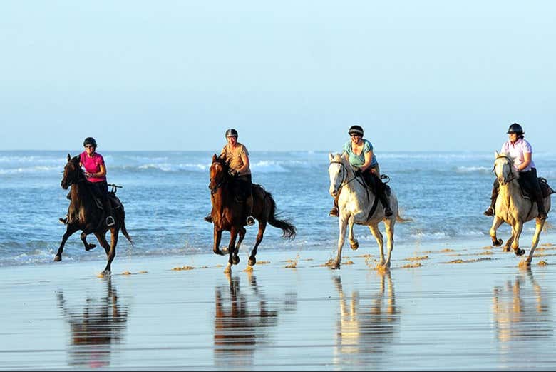 Imagen 7