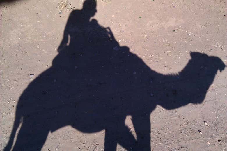 Imagen 5