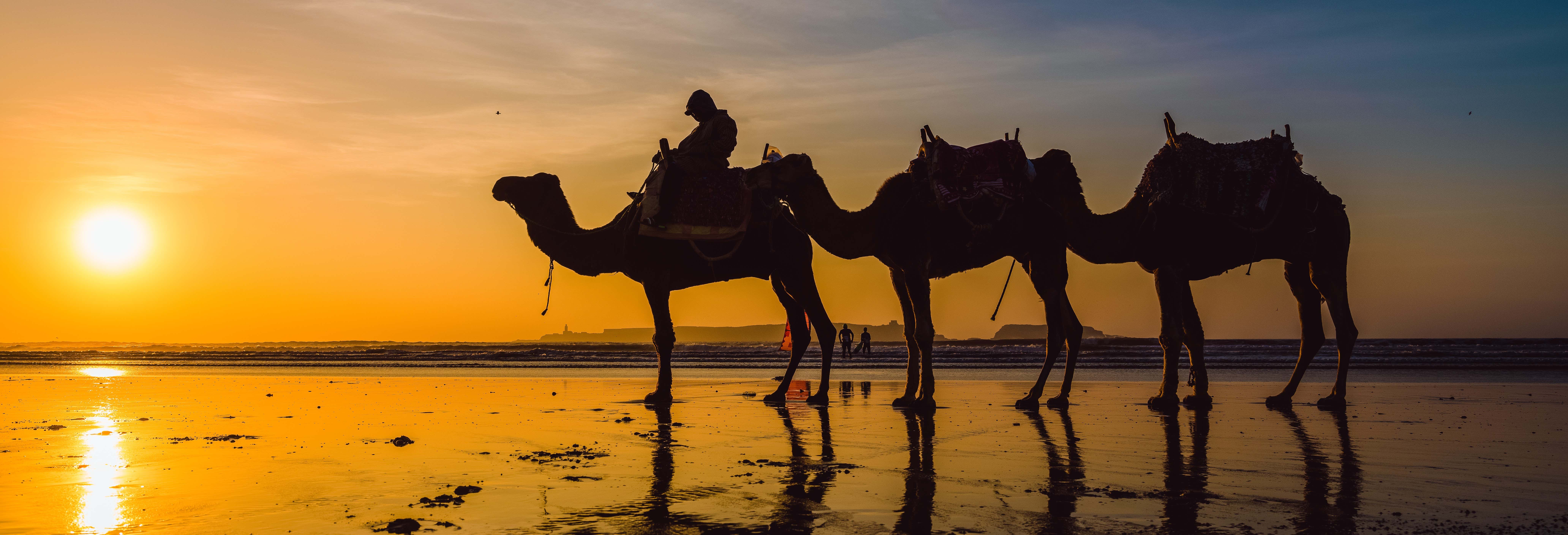 Giro in cammello al tramonto con cena