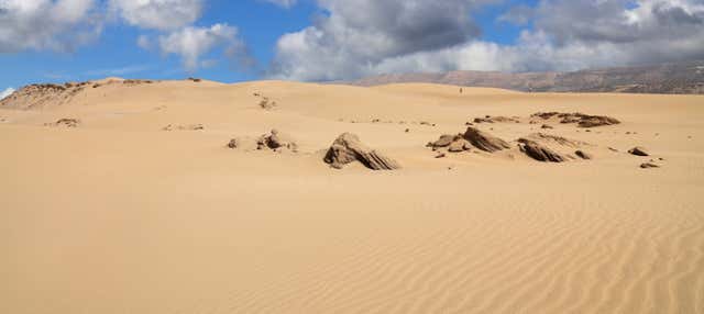 Tour in buggy nel deserto
