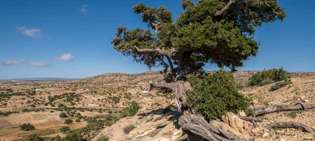 Tour di Agadir in kickbike elettrica