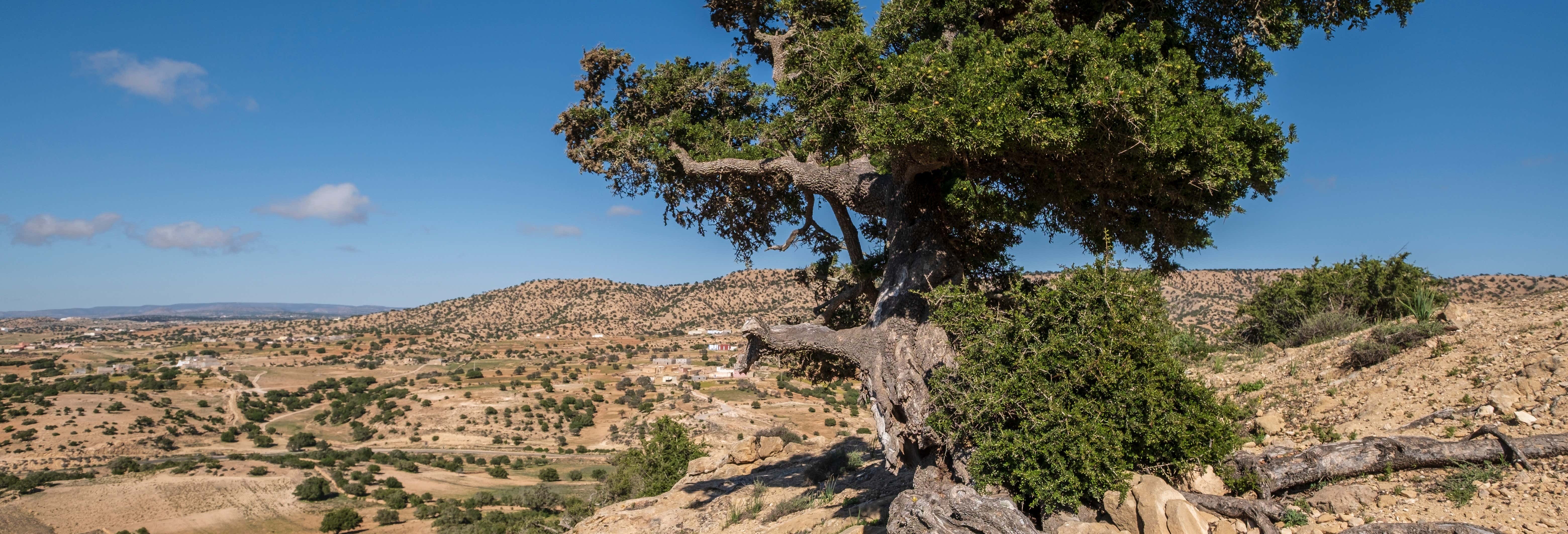 Tour di Agadir in kickbike elettrica