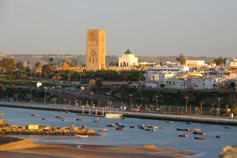 Imagen 8