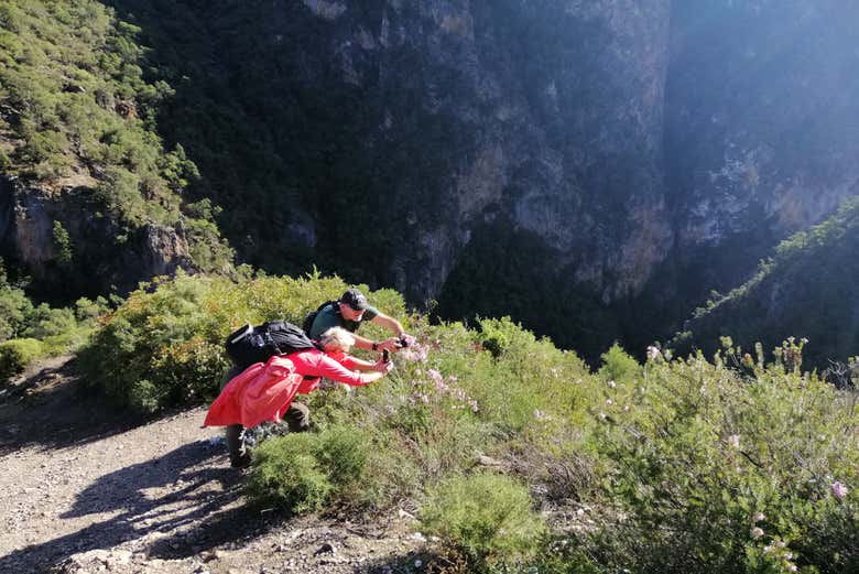 Private Hike to Akchour's Bridge of God
