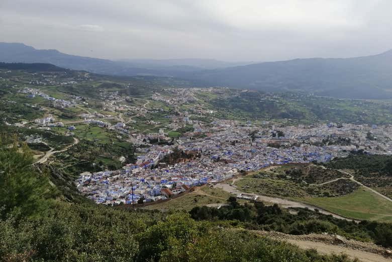 Imagen 6