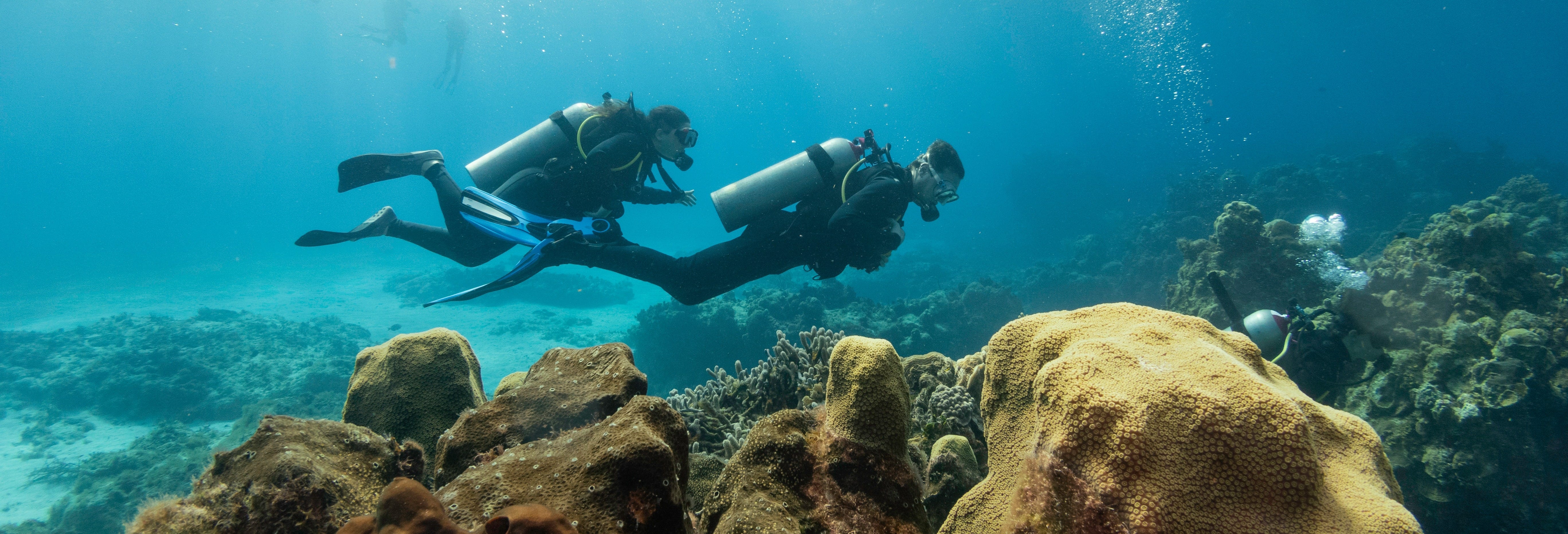 Dakhla Beginners Scuba Diving