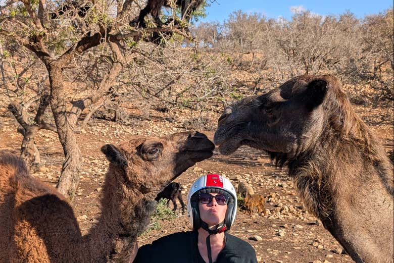 Imagen 16