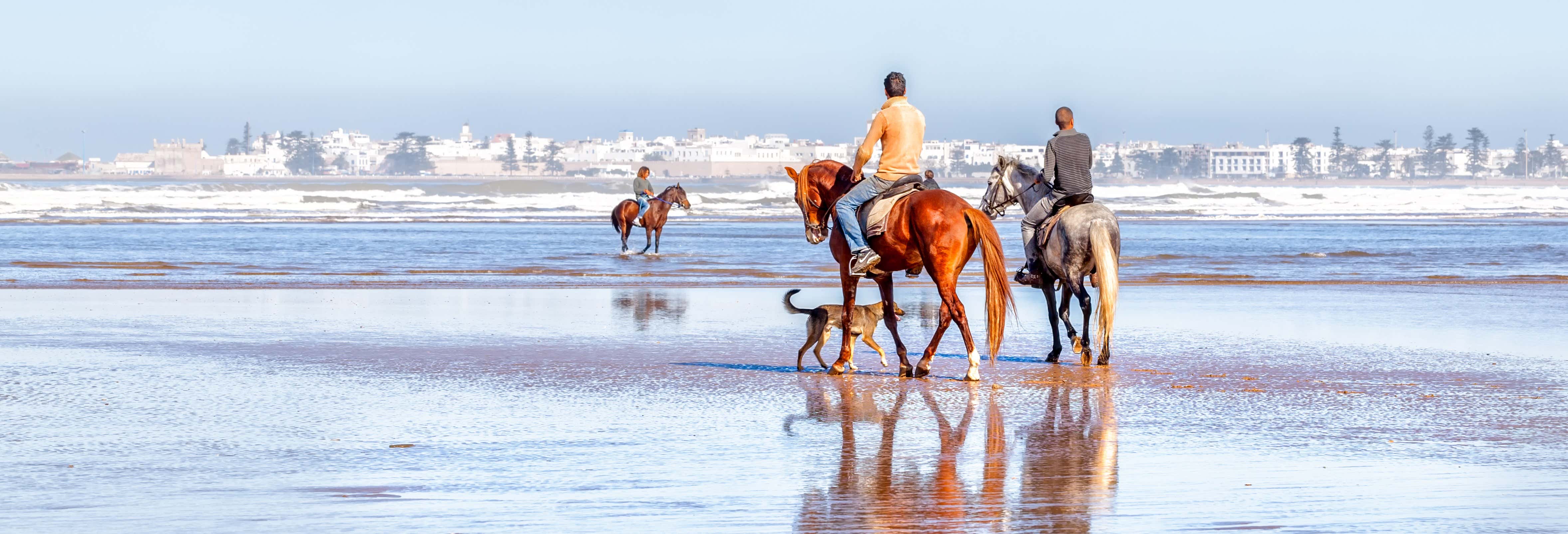 Passeggiata a cavallo a Essaouira