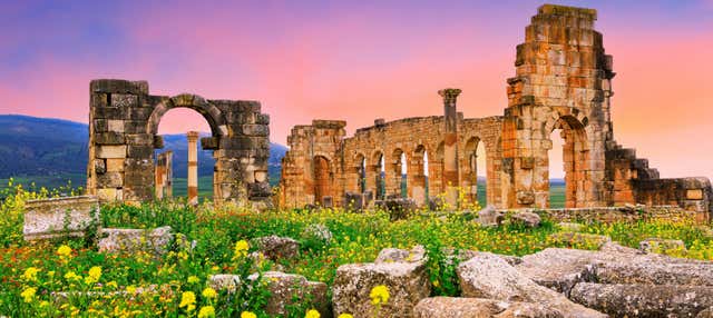 Excursión privada a Volubilis, Mulay Idrís y Meknes