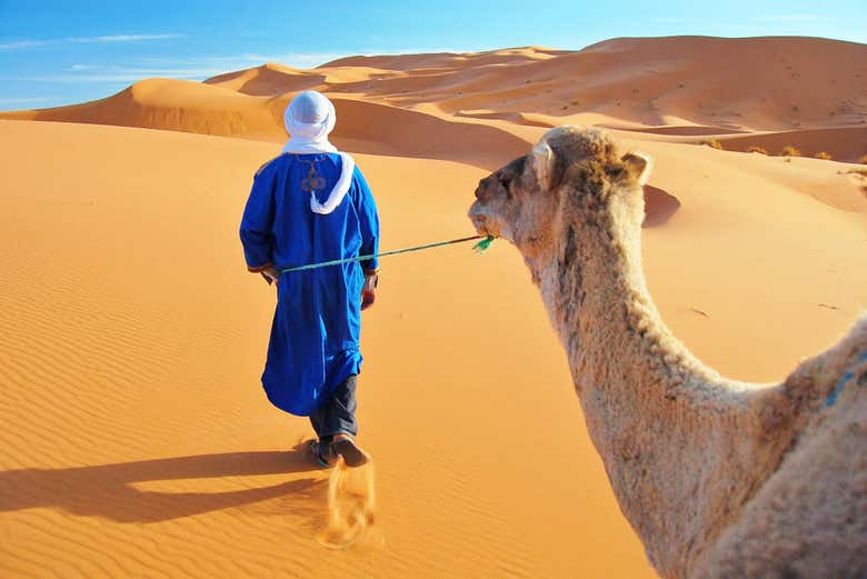 Imagen 2
