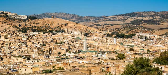 Visita guidata privata della Medina + Tour panoramico di Fez