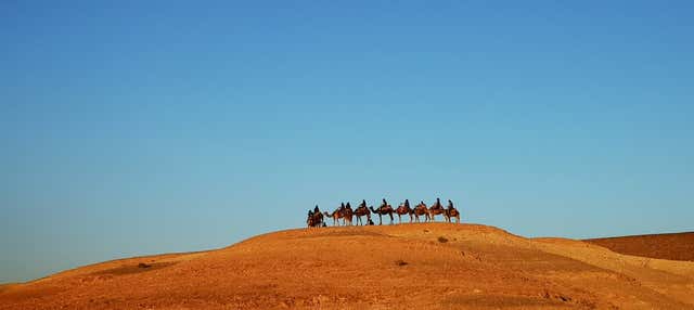 Escursione al deserto di Agafay