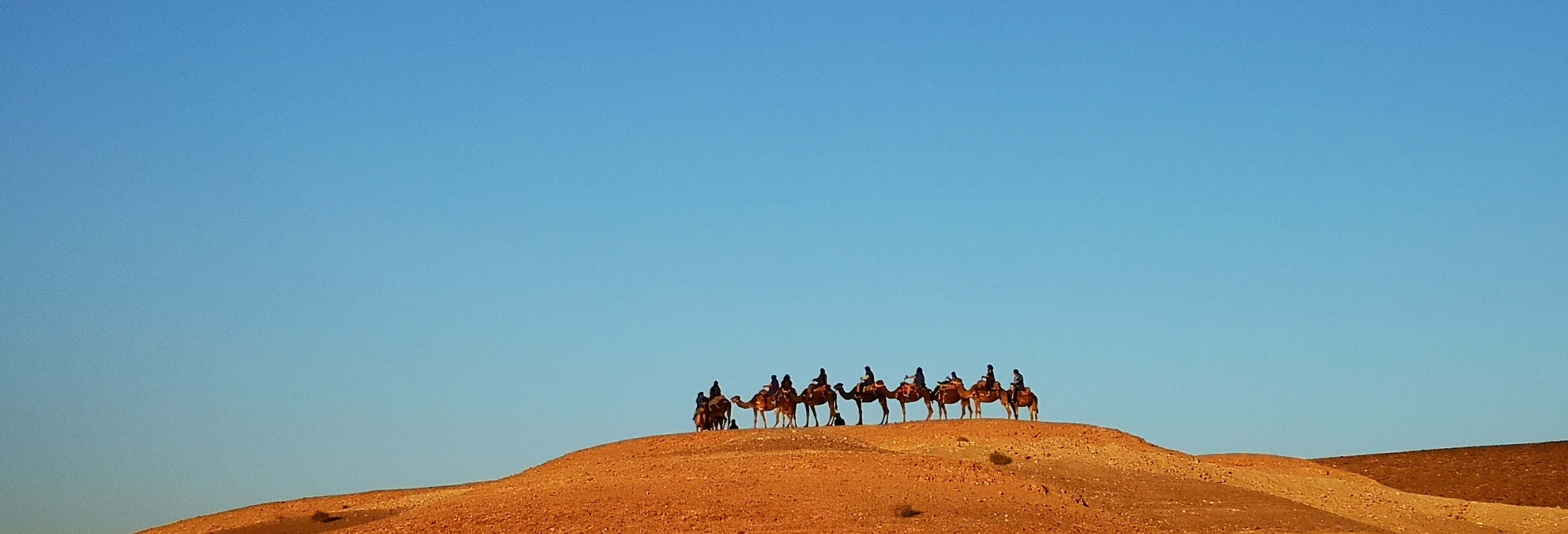 Escursione al deserto di Agafay