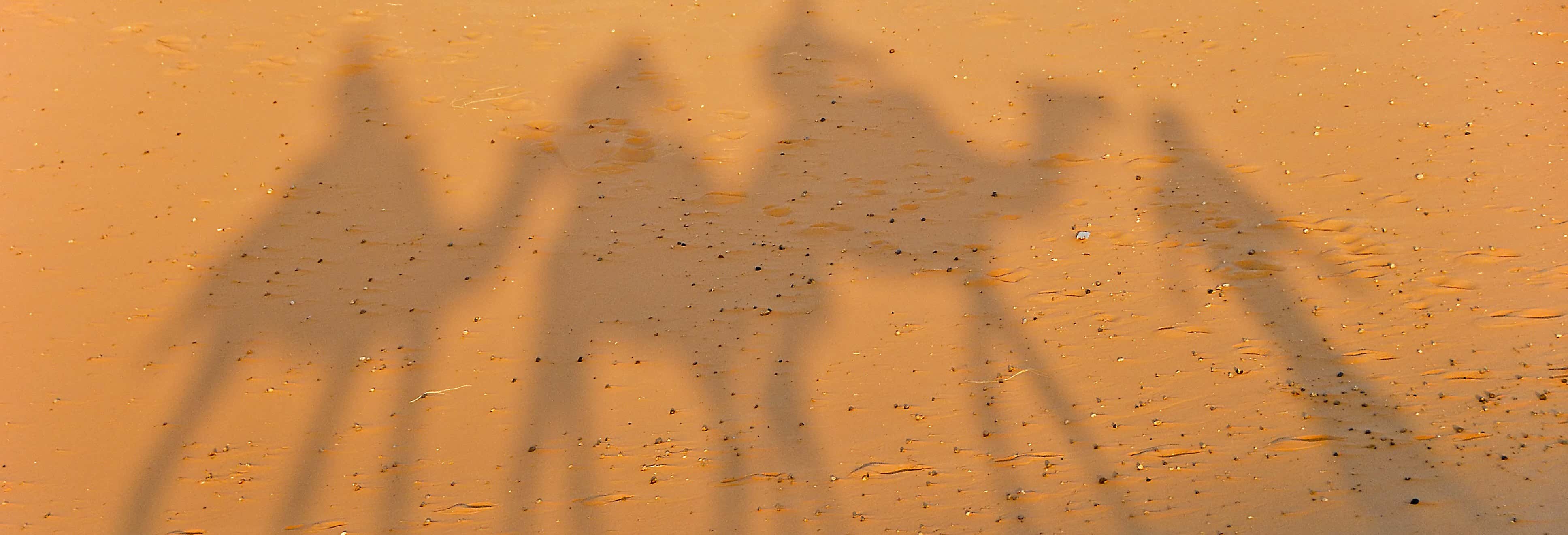 5 días en el desierto en busca de los Reyes Magos