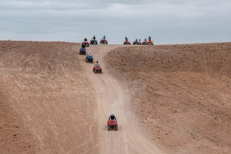 Marrakech Palm Grove Quad Bike Tour