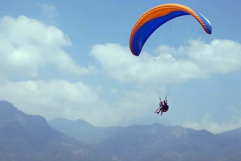 Imagen 7