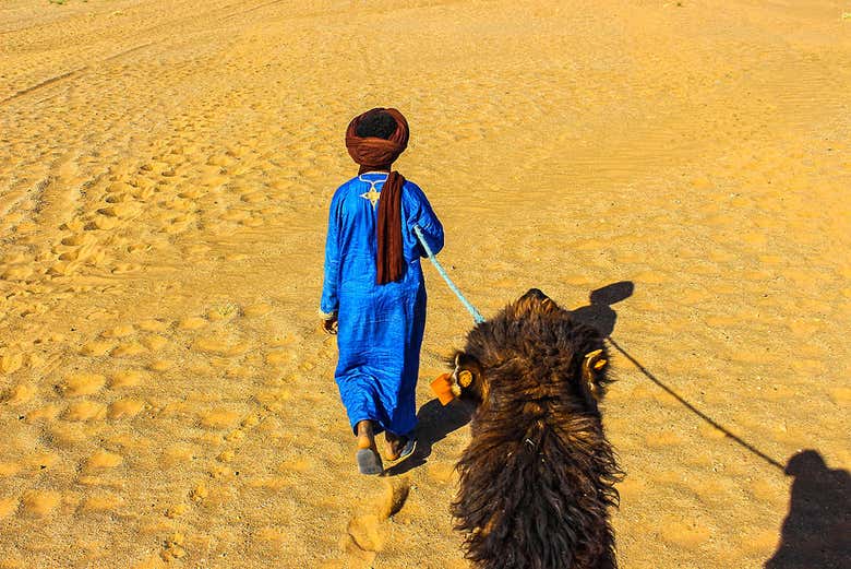 2-Day Zagora Desert Trip