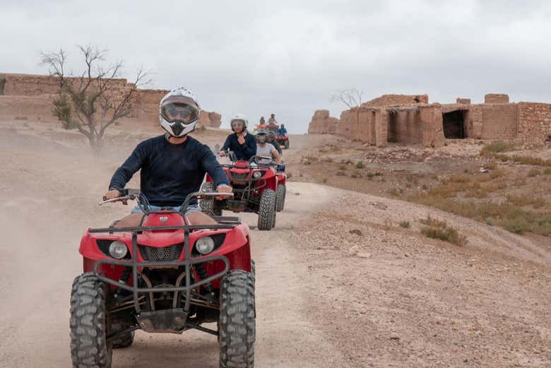 Palm Grove Quad Biking and Camel Riding Tour